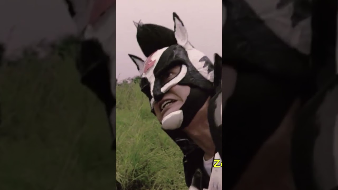 Zebranurse!!! | Zebraman (2004) 