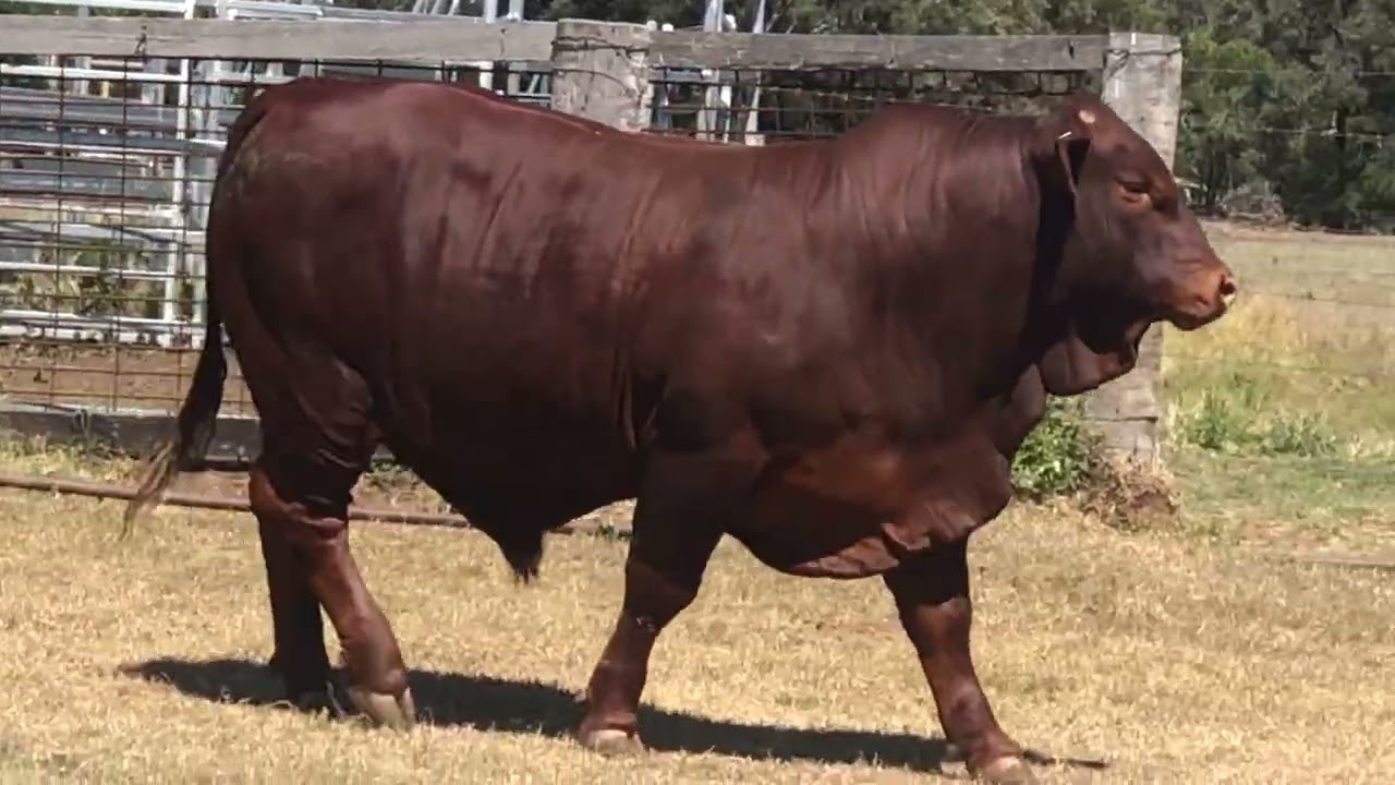 Lot 8 Boiling Springs Ubobo (P)