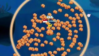 Fish Go.io - By The Fish King || Collect Lots Of Fish and Win!!! screenshot 1