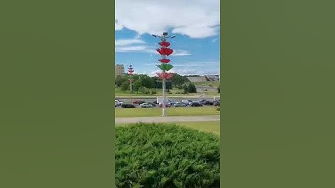 Автомобилисты встречают кортеж Саши 3%