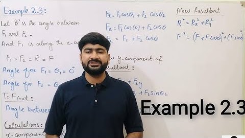 Example 2.3 | Solved Examples | Class 11 Physics | Chapter 2 | Vectors | Assignment 2.3