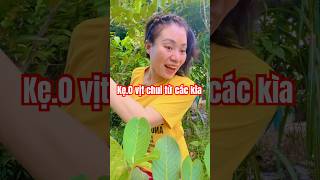 Kẹ.o vịt chui ra từ cát kìa #shortvideo Kẹ.o vịt chui ra từ cát kìa #shortvideo