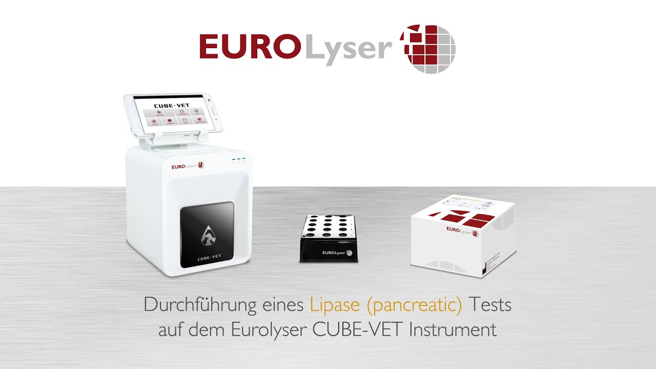 Durchführung eines Lipase (pancreatic) VET Tests auf dem EUROLyser CUBE-VET