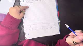Mae 202 using fraction strips to add