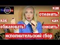 Исполнительский сбор –оплата, обжалование, отмена| |082 Блондинка вправе