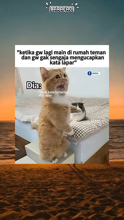 malunya sampe ke ubun-ubun😂😂#funny#meme#shorts#funnyshorts#trendingshorts#fypシ゚viral#humo#trending