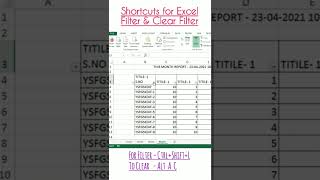 How to Filter your data in Excel?