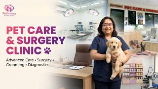 Inside Our Pet Care Clinic 🏥🐶 | Consultation, Surgery, Grooming & More! Dr. Anju Synghal