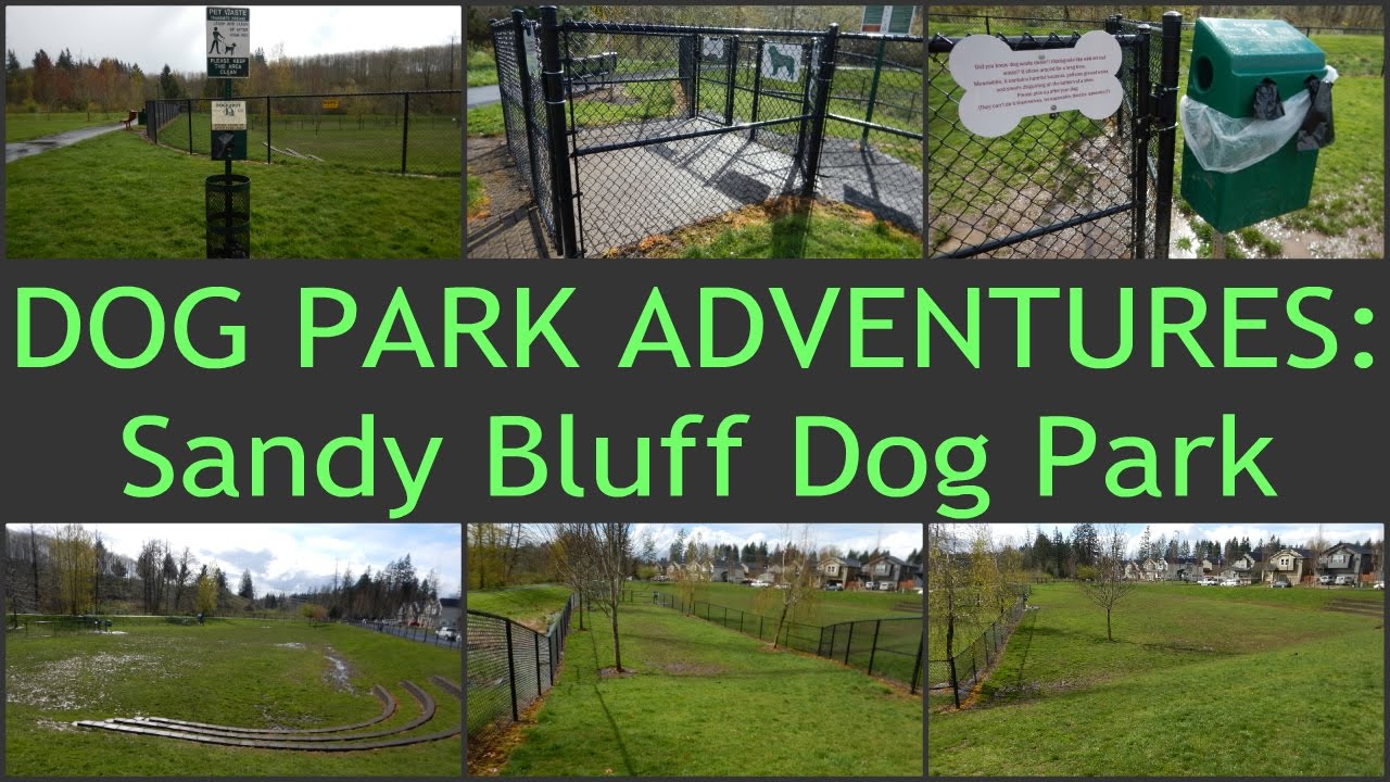 Sandy Bluff Dog Park YouTube