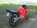 CBR 600 F3 project