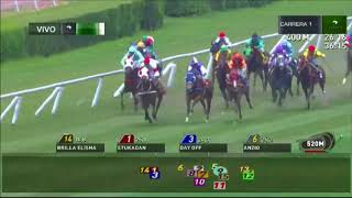 Vidéo de la course PMU PREMIO MARE