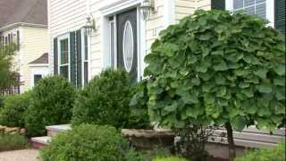 12 Pine Acres Drive video tour