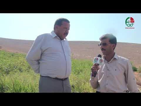 منطقة الهيدان مادبا