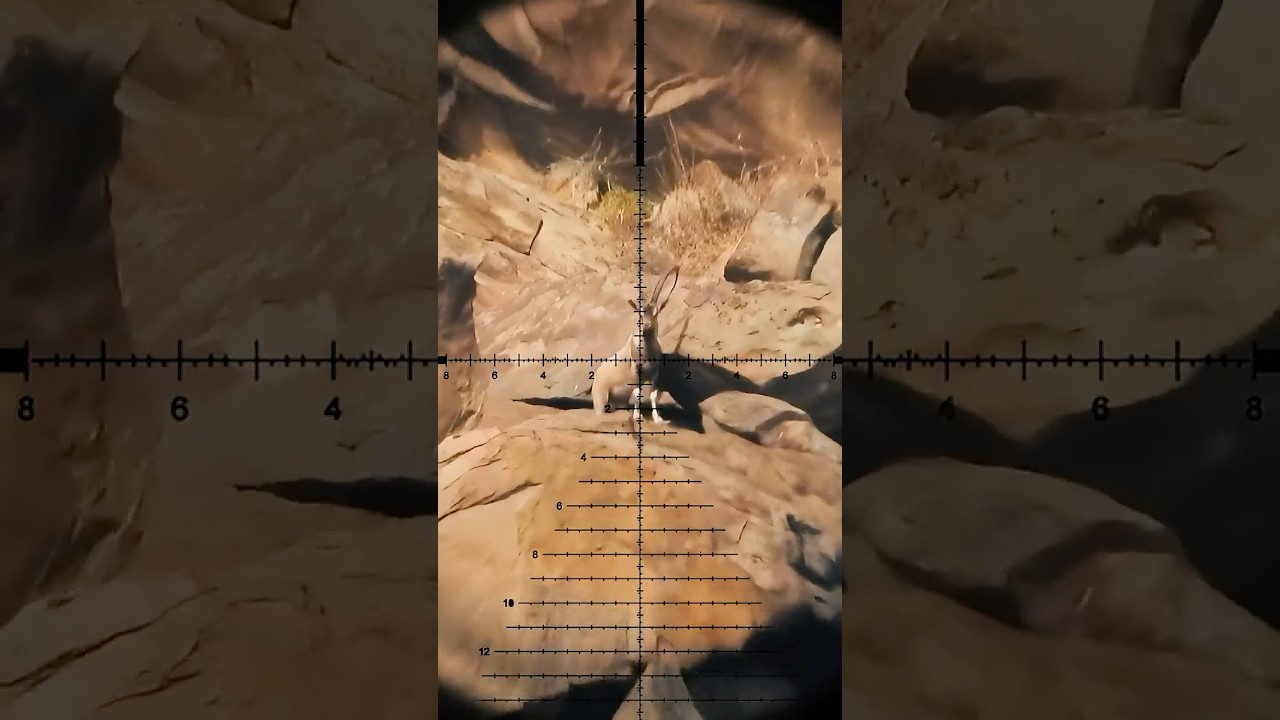 РАССЧИТАННЫЙ выстрел на 750м! Охота на ОЧЕНЬ РЕДКОГО козерога в горах Пакистана!