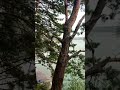 Завьялово ,обское море.