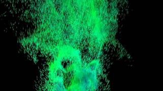 Celebrity Thinking Particles Test Wealth