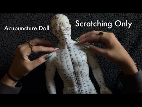 ASMR Acupuncture Doll Scratching ONLY! No Tapping, No Talking ᵕ̈ 