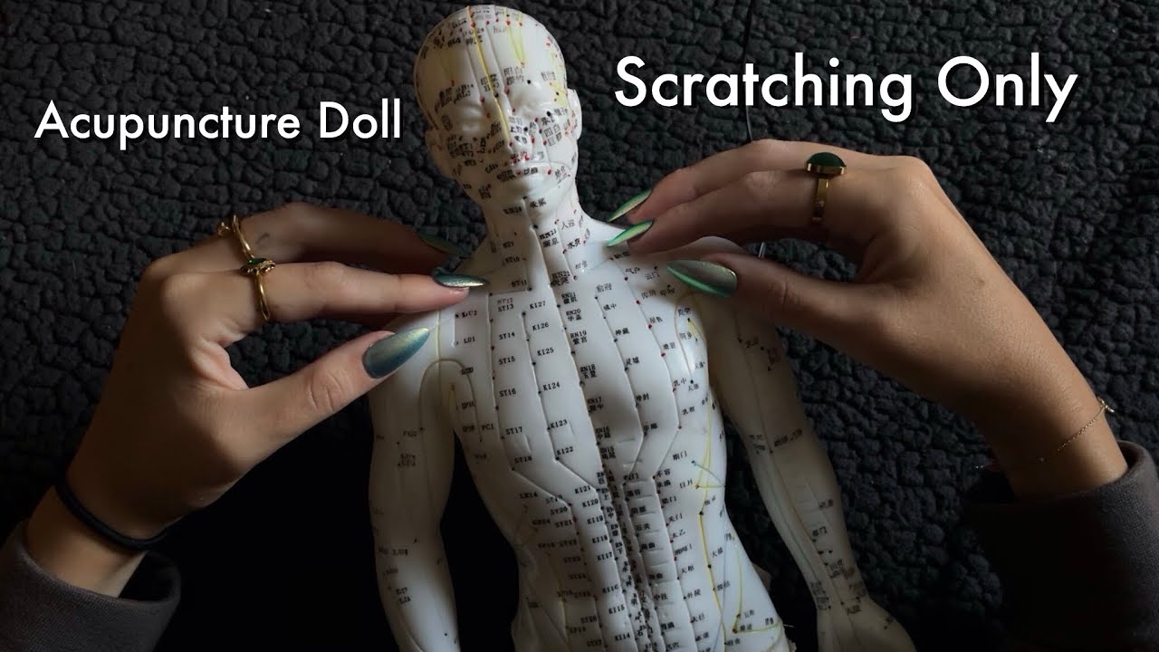 ASMR Acupuncture Doll Scratching ONLY! No Tapping, No Talking ᵕ̈ 