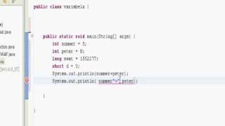 Java Tutorial No.2 Variabeln (VOICE)