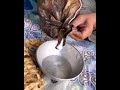 سقى الله أيام البساطة