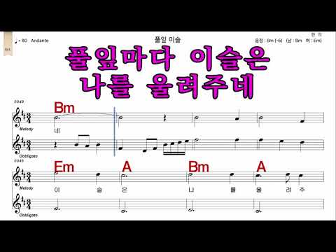 풀잎이슬  정수라가수처럼   남자  Bm