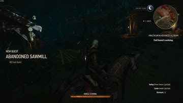 Witcher 3: Abandoned Sawmill