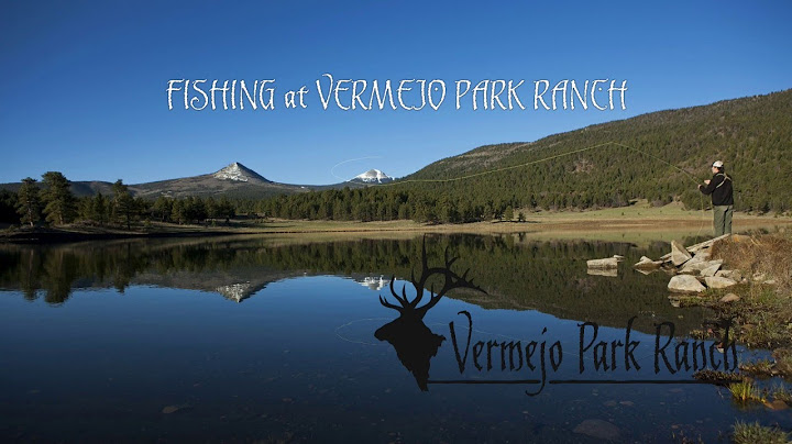 FISHING - VERMEJO