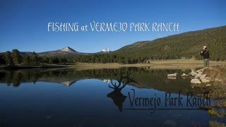FISHING - VERMEJO