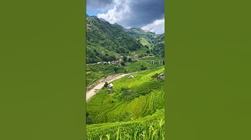 hình ảnh ruộng bậc thang siêu đẹp #music