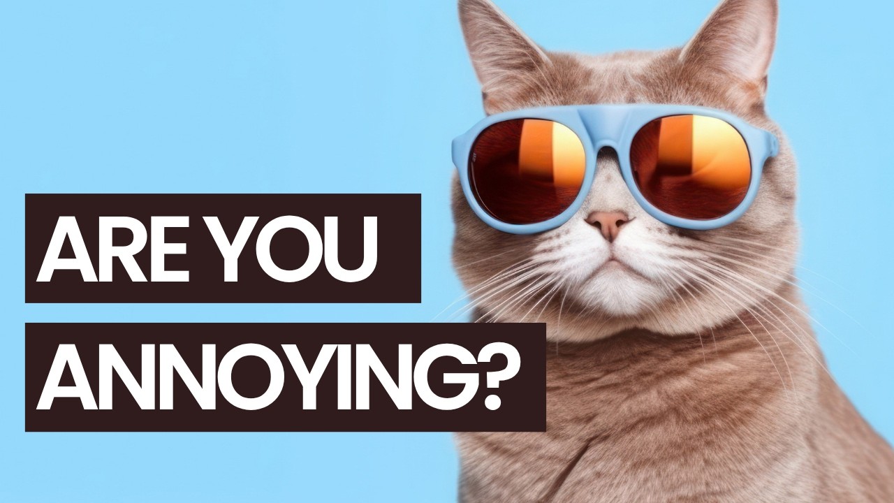 Why Are You Like This? And Other Pet Peeves