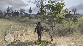Songbird Location Rio Bravo - Red Dead Redemption