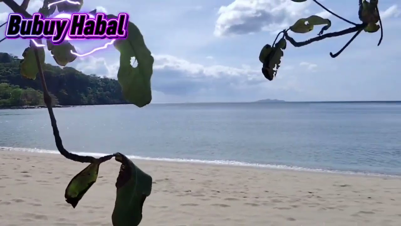 Update in beach / Tarazas deputa fowego