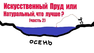 Искусственный пруд или натуральный, что лучше ? (часть2)