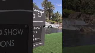 Las Vegas Adventure 2024 You NEED to Experience