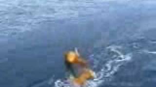 SeaSoar Towed Vehicle Deployment