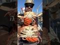 Crab Claw Regeneration #friendliestcatch #crab