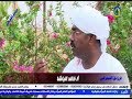 خالد الباشا وذكاء محمد النصري خالد الباشا وذكاء محمد النصري