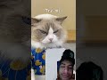 #loop