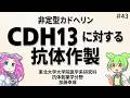 第４３回 抗体創薬学分野 研究成果紹介：CDH13に対する抗体作製