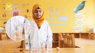 MUKHTAR SCHOOL_Science Floating Eggs A Density Experiment