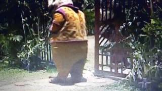 Sítio Do Picapau Amarelo 2001 Festa Do Faz De Conta