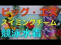 BIG-S/ビッグエス スイミングチーム 競泳水着 M
