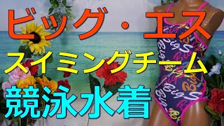 BIG-S/ビッグエス スイミングチーム 競泳水着 M