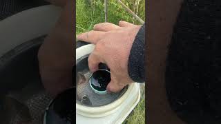 Cara gampang untuk mengukur dosisi gramoxone #pertanian #petani #petanimuda