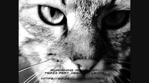 Awakening (radio edit) by Teozz feat. Deborah Leone