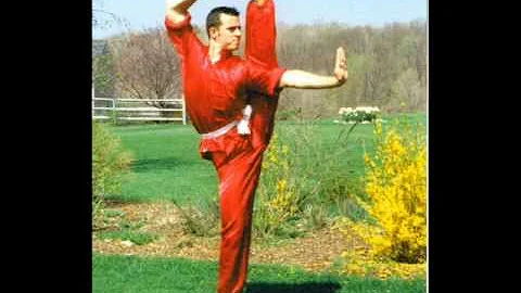 Shifu Lucas Geller Wushu