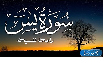 سورة يس بصوت جميل | قرآن كريم هادئ وجميل جميل جدا 🎧 تلاوة هادئة راحة نفسية لا توصف
