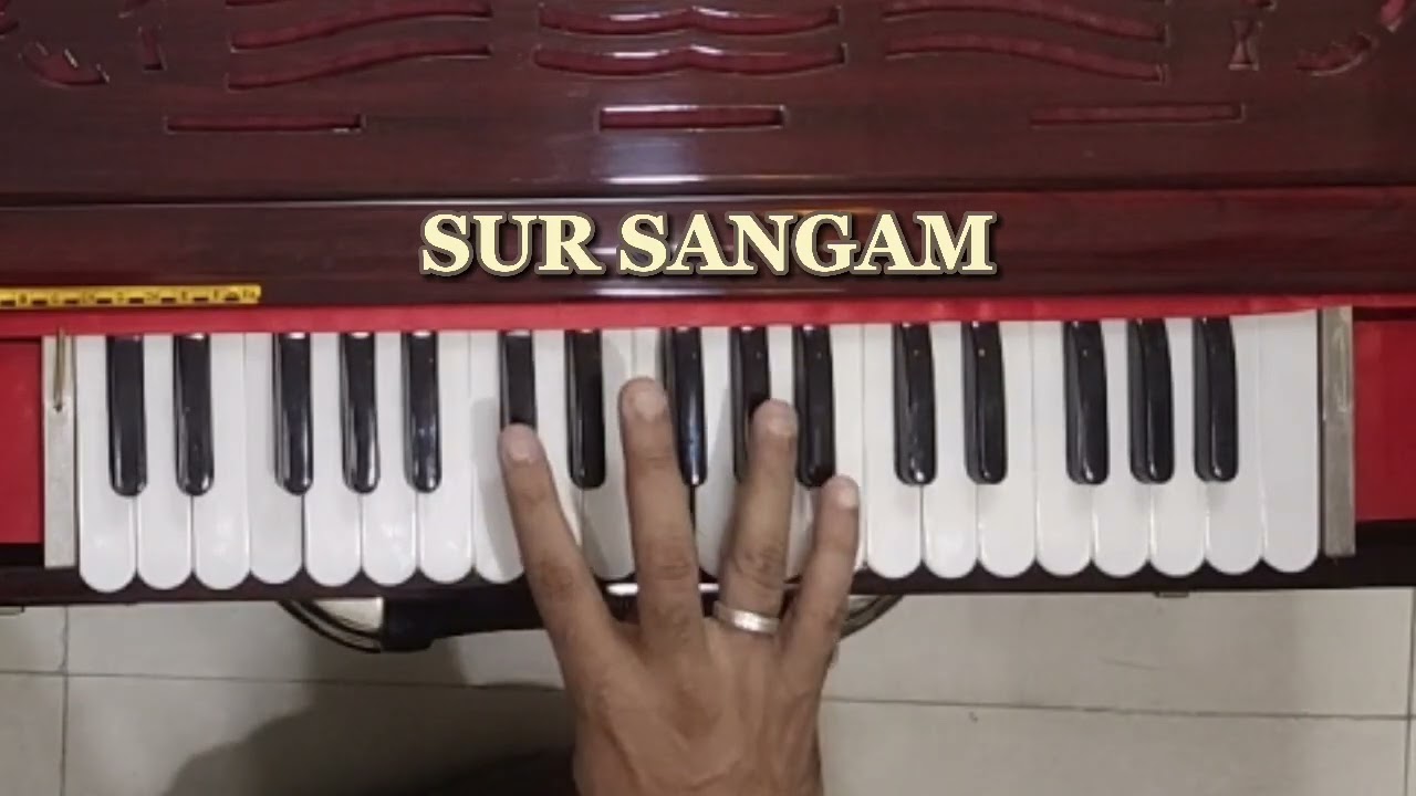 jahan daal daal par sone ki chidiya karti hai basera | Sur Sangam Harmonium Music Classes