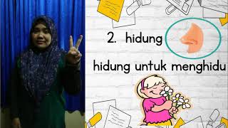 SAINS TAHUN 1 DERIA MANUSIA /PROGRAM TRANSISI TAHUN 1 PENDENGARAN