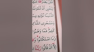 سورة ال عمران الأية 145 إلى 146 القارئ سعد الغامدي